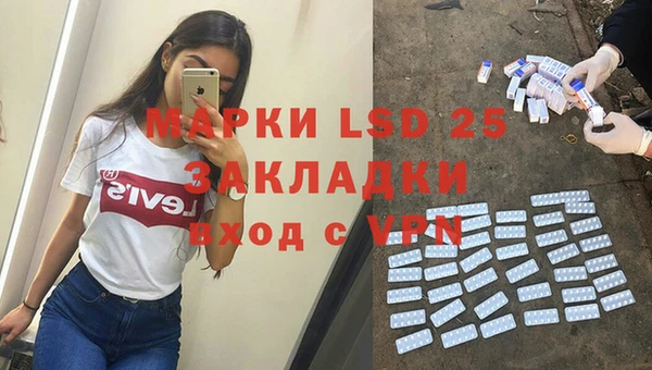 дмт Алзамай