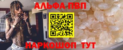 стафф Славгород