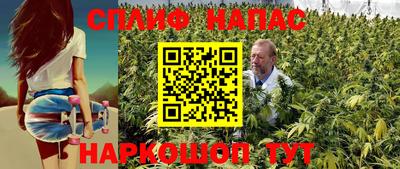 стафф Славгород