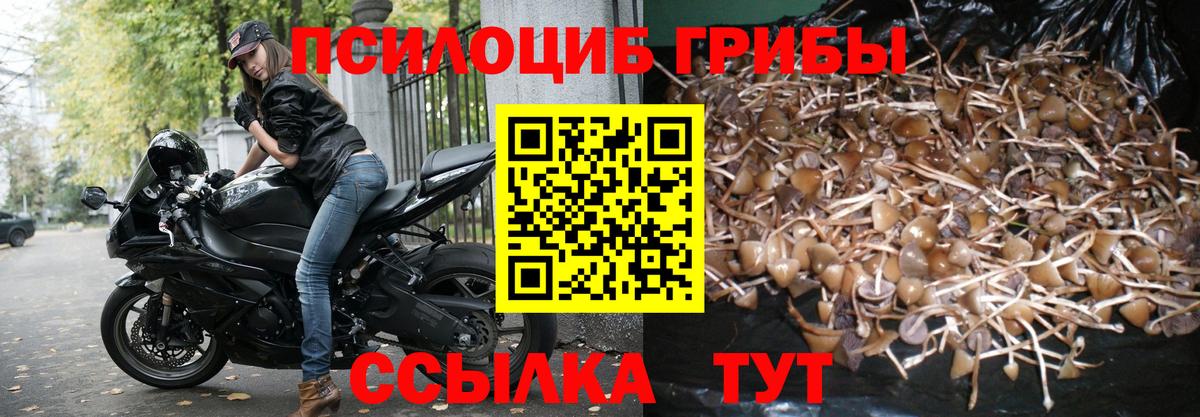 Псилоцибиновые грибы ЛСД  Вход с VPN  Кондопога 
