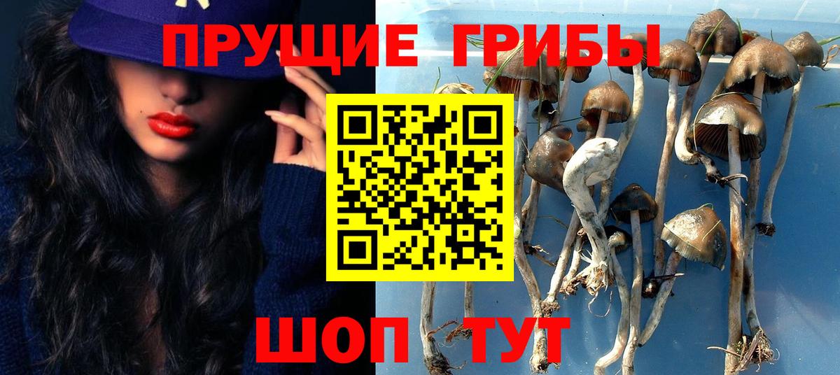 Псилоцибиновые грибы MAGIC MUSHROOMS Кондопога