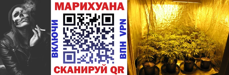купить   Кондопога  МАРИХУАНА семена 